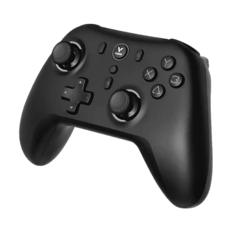 RAPOO V600SE wired wireless vibration gamepad black front view